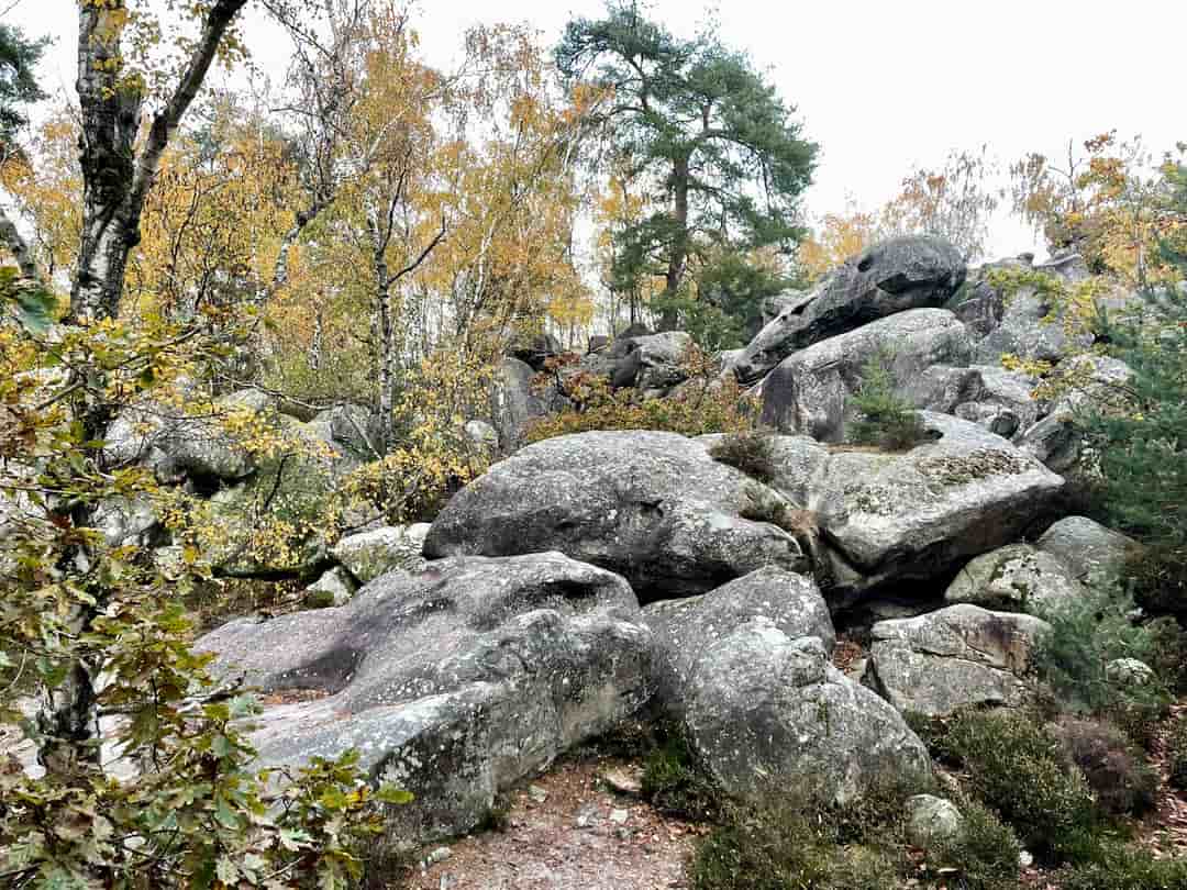 Grés de Fontainebleau