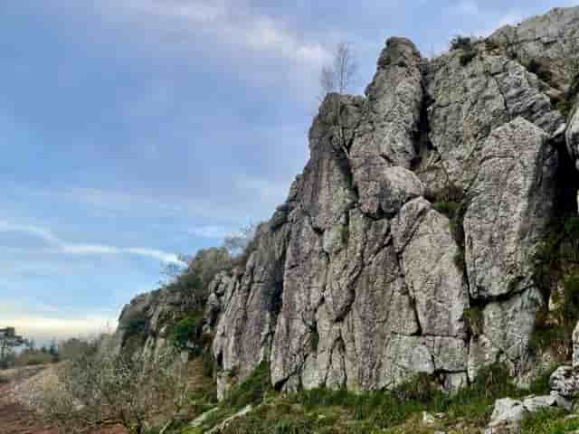 Argol