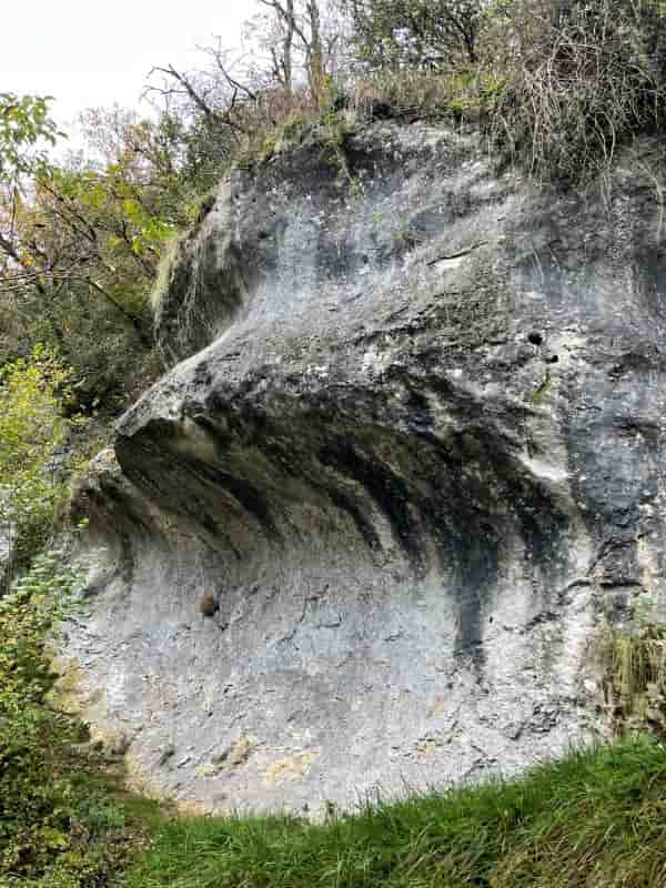Photo de La Muraille de Chine