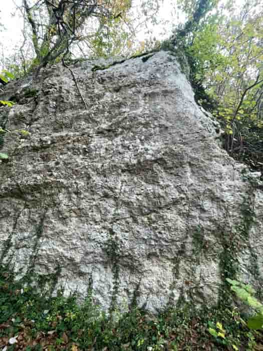 Photo de Le Kangourou (blocs)