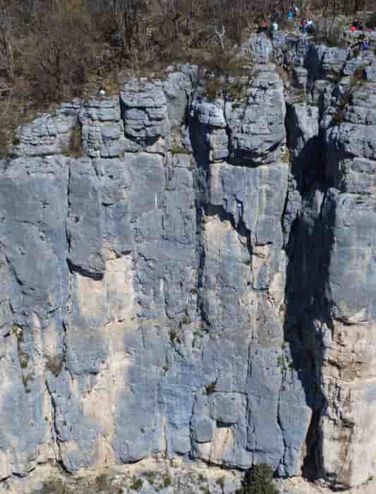 Photo de Les Punaises
