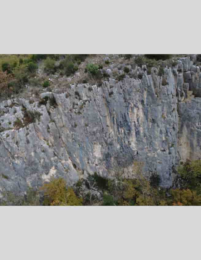Photo de Suzette Flipo et Ricky banlieue