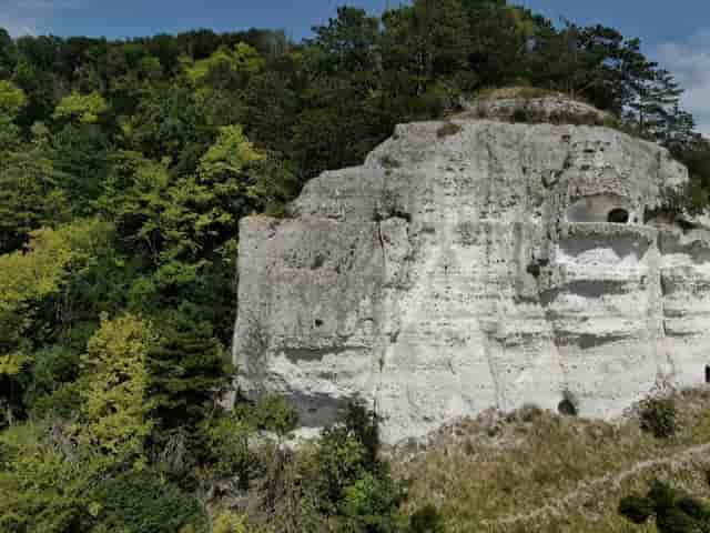 Le Capucin