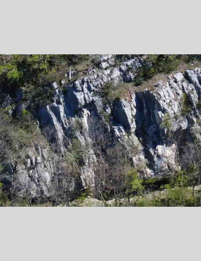 Photo of Sous les Bois