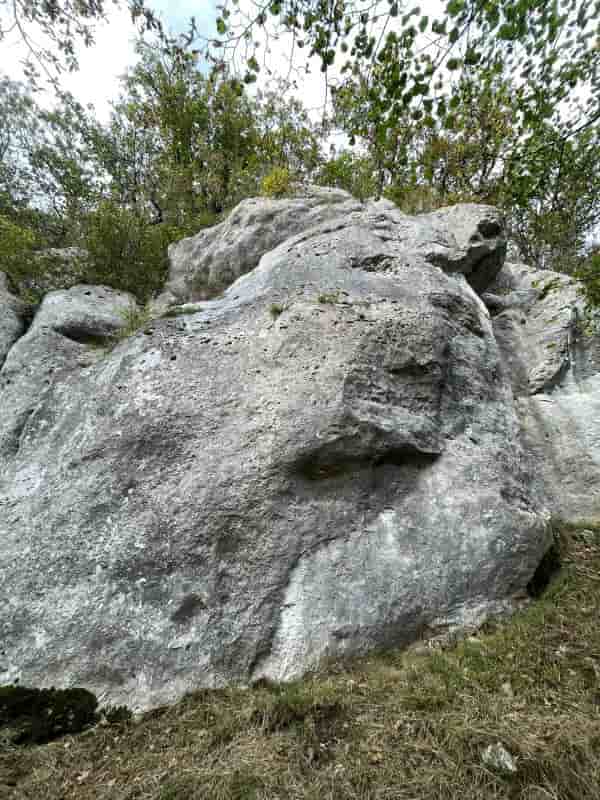 Photo de Le Kangourou