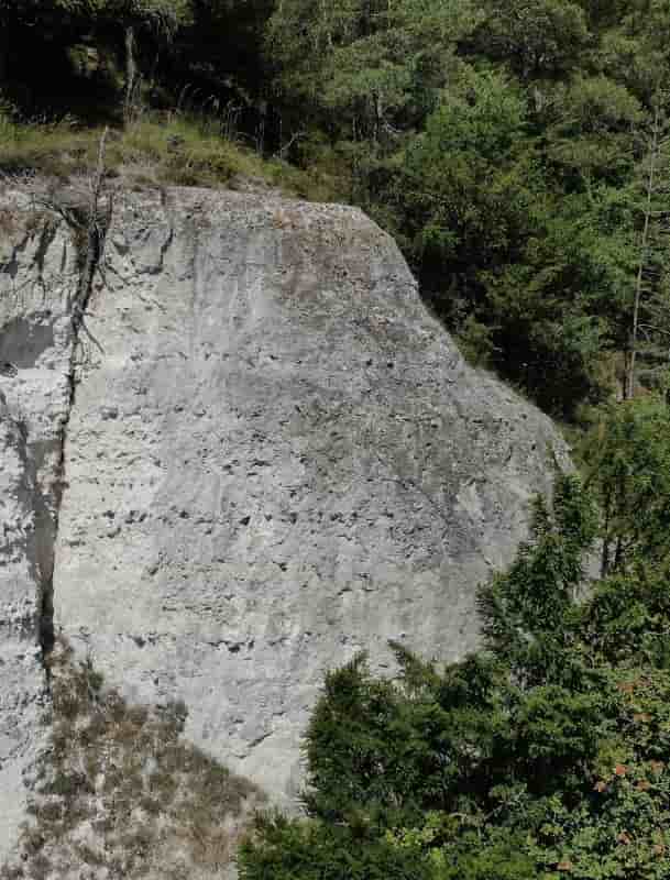 Photo of Poum