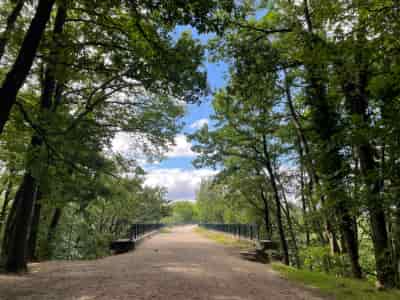 Le Viaduc des Fauvettes guidebook preview