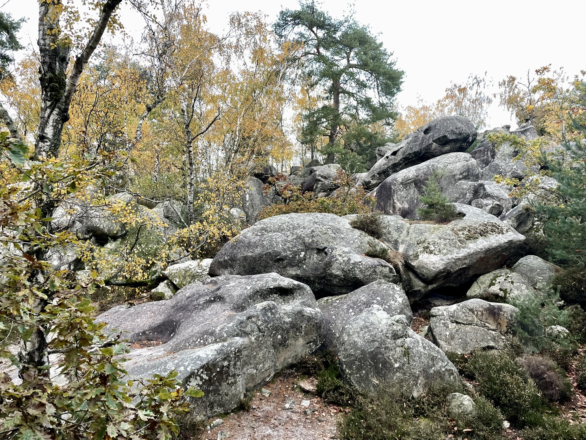 Grés de Fontainebleau